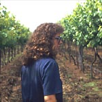 Figure 11. Scouting vineyards for downy mildew. (Courtesy G. Ash)