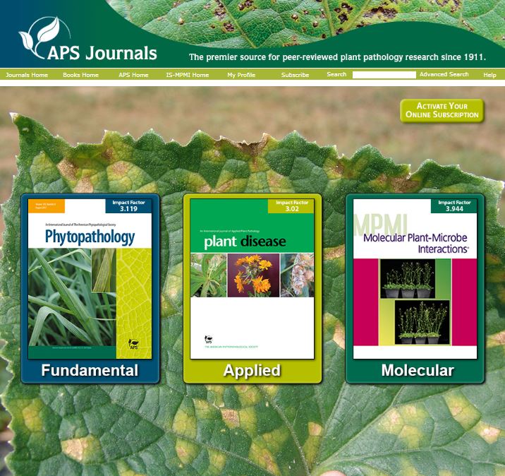 Subscribe to Journals