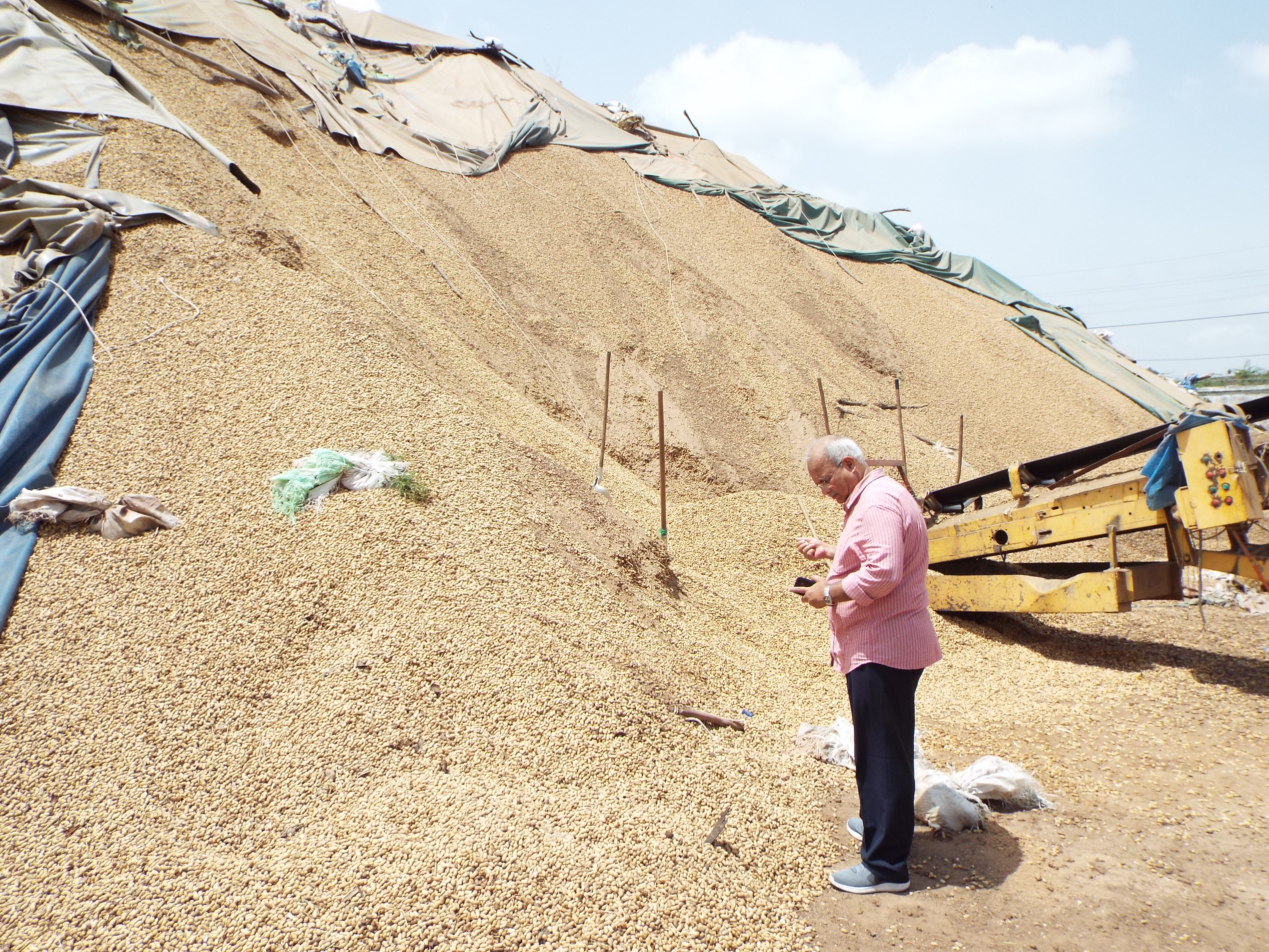 Ranajit Bandyopadhyay standing in front of the groundnut pile.JPG