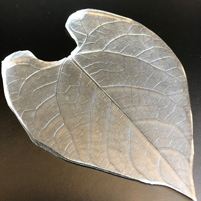 PDMS leaf replicast b.jpg