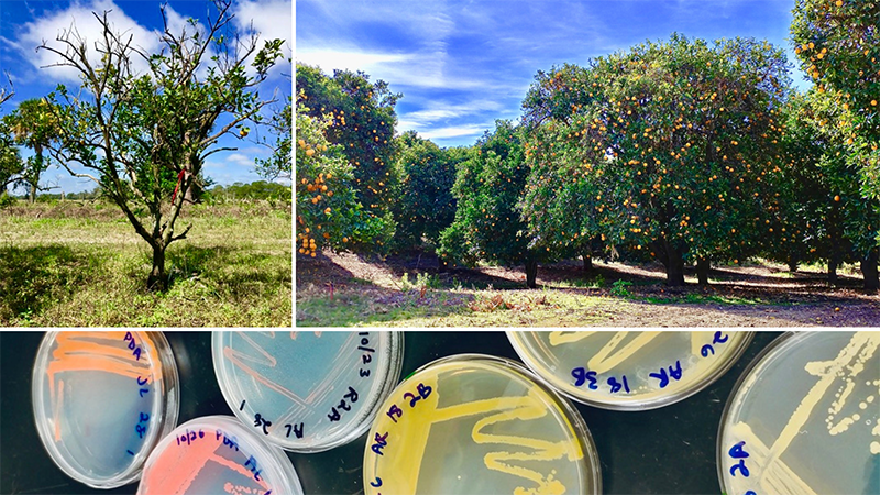 Untitled design2.png