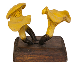 Model with Cantharellus relief