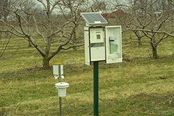 Figure 17. A field-based microcomputer and weather station used to monitor apple scab infection. (Courtesy J. Hartman)