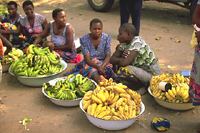 Figure 22. Market in Malawi (Courtesy R. Ploetz)