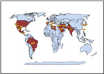 Areas of the world where Monosporascus cannonballus or M. eutypoides have been reported (2009). (Courtesy R. Martyn).