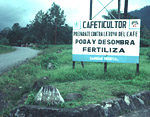  Figure 11. A billboard in Chiapas, Mexico: "Coffee grower, prepare yourself against coffee rust. Prune, remove shade, and fertilize." (Used by permission from H.D. Thurston)