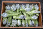 Figure 31. Fresh or frozen cuitlacoche occasionally is available at farmer's markets or from local suppliers in the U.S. (a) A crate of fresh cuitlacoche soon after harvest. (b) Galls of Ustilago maydis removed from the ear and ready for sale as cuitlacoche. (c) Frozen cuitlacoche may sell for as much as $18 per lb. when it is available. (Courtesy J.K. Pataky) 