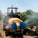 Figure 9. Fungicide application in a vineyard. (Courtesy of J. Kent)