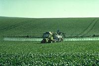 Figura 28. Aplicação de fungicida em campo de batata. (Cortesia FRAC)