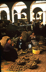 Figura 31. Mulheres vendendo batatas em um mercado na Colômbia. (Cortesia H. D. Thurston)