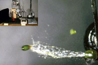 Figure 14. High-speed, hydrostatic discharge of dwarf mistletoe seed (insert shows photographic setup used to capture image). [p