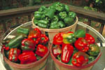 Figura 1. Bell peppers. (Courtesy D.F. Ritchie)
