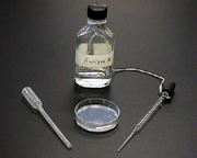 This figure shows the pipettes, a petri plate and one of the solutions needed for this exercise.