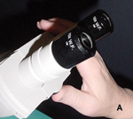 Figure 5. Methods of adjusting eyepiece width.  A: Knob between the eyepieces is turned to adjust width.  B: Simply push or pull on the side of area holding the eyepieces to adjust the width. (Courtesy M. B. Riley)
