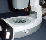 Microscopio de disección con la fuente de luz posicionada de manera tal que es transmitida hacia arriba desde la parte inferior a través de la muestra.  A – Eje giratorio del espejo usado para ajustar el ángulo del espejo para reflejar la luz.  (Cortesía de M. B. Riley)