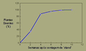 Graph, Black shank on tobacco