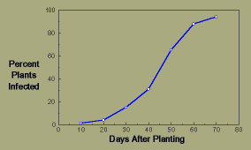 Graph, Halo blight on bean