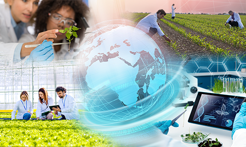 Let's Tackle Global Risks Together