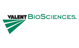 Valent