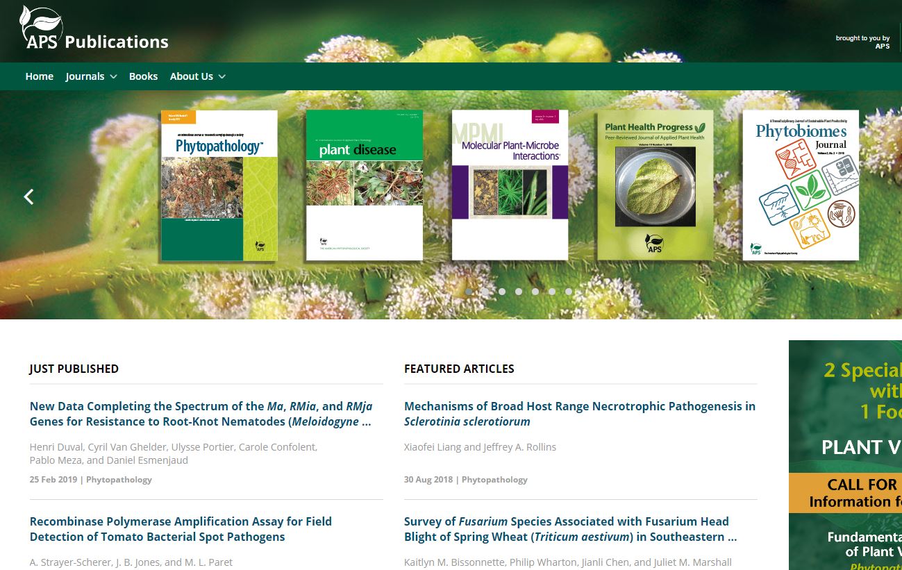 Upgraded and Modernized APS Journals Site Enhances Research Visibility