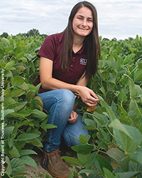 Weber gravitational waves image