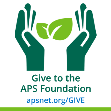APSFoundation_GIVE_Graphic.png